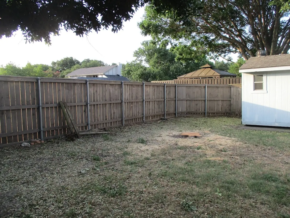 Cleared yard after professional tree removal in York